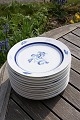 Blue Carnation Danish B&G porcelain. Luncheon plates 21.5cm