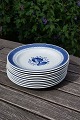Trankebar dänisch Fayence Geschirr, Lunchtellern Nr. 1399, Ö 21,5cm